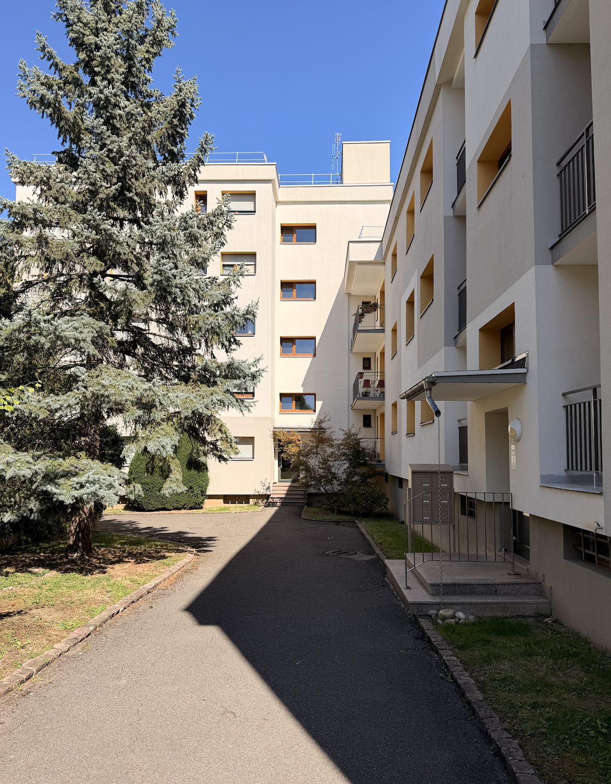 Appartement location Dornach Mulhouse - Image 1