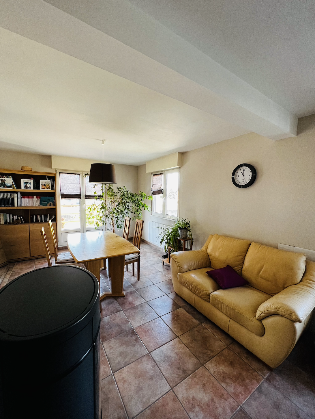 Grande maison à acheter pour famille avec 2 enfants à Kembs (68) - Image 4