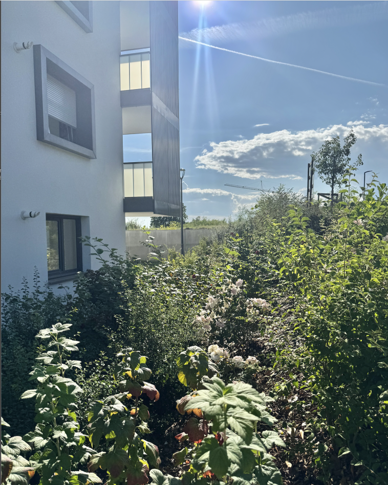 Incroyable T4 avec 50m2 de terrasse - Image 2