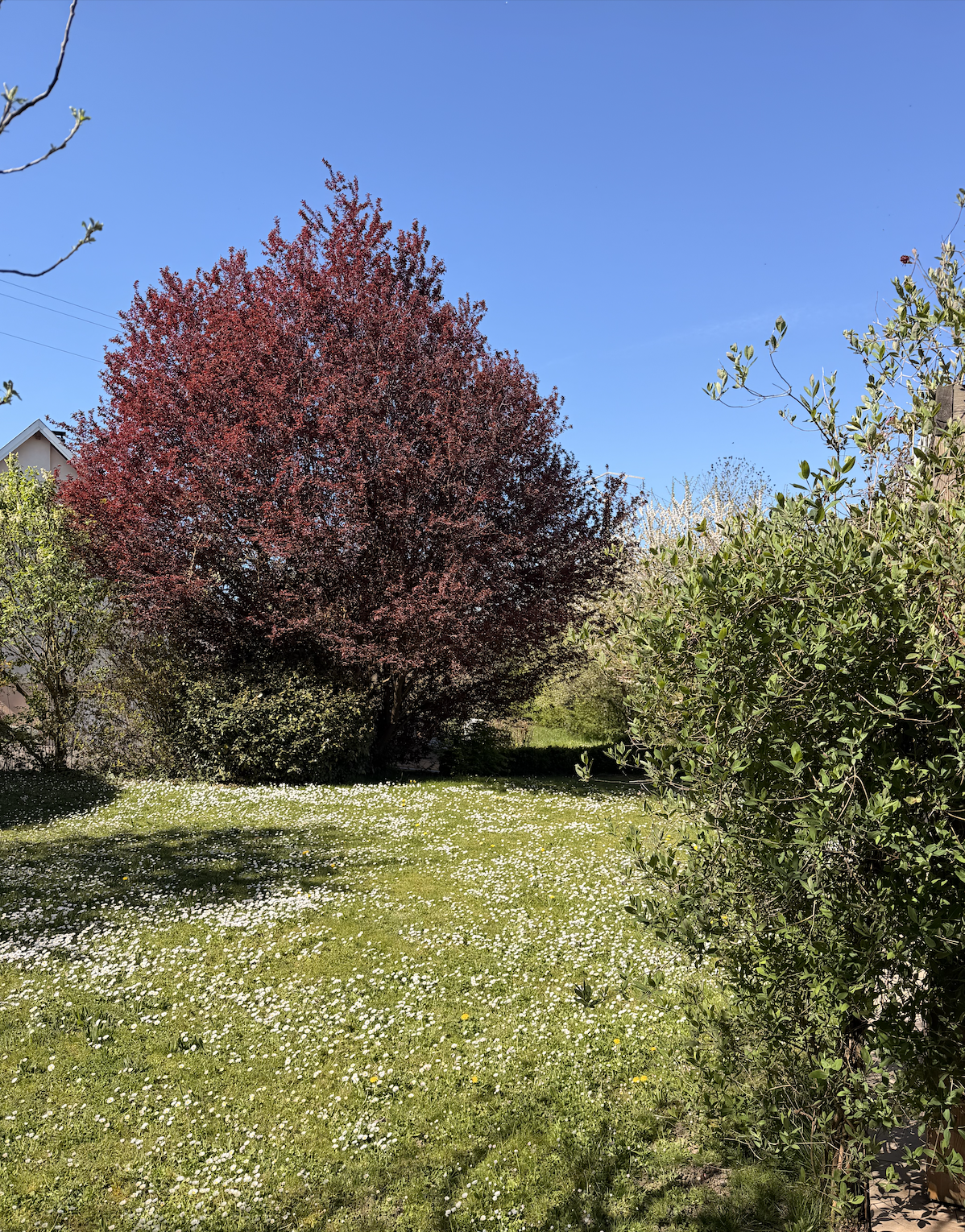 Villa de 191m2 à ESCHENTZWILLER - Image 4