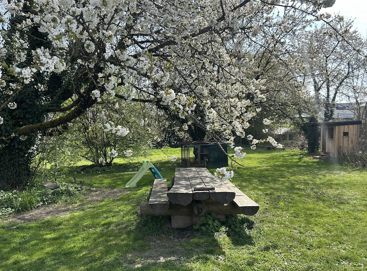 ZIMMERSHEIM Maison individuelle de plain-pied sur terrain constructible de 16,72 ares - Image 1