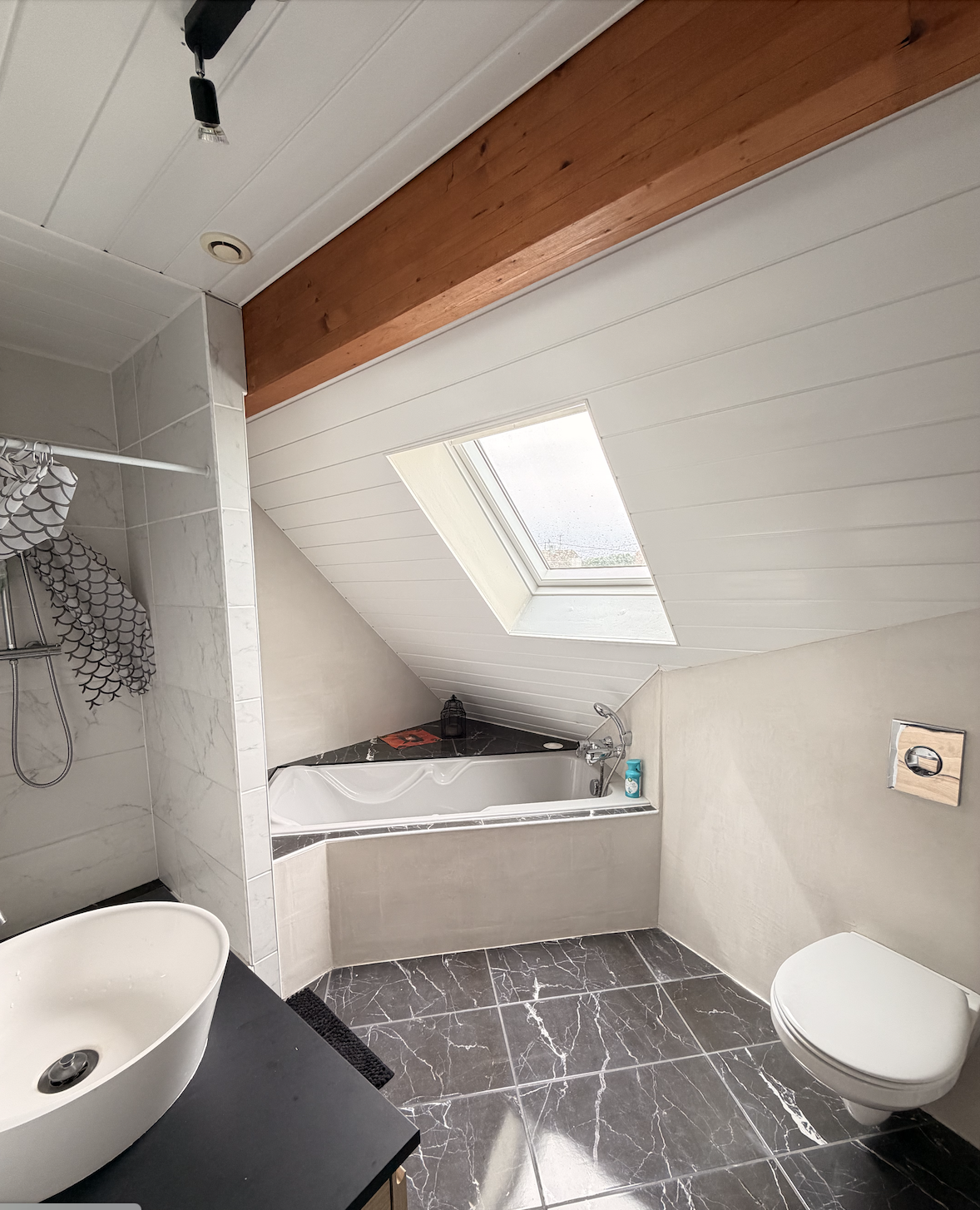 Appartement T3 duplex avec terrasse Brunstatt - Image 8