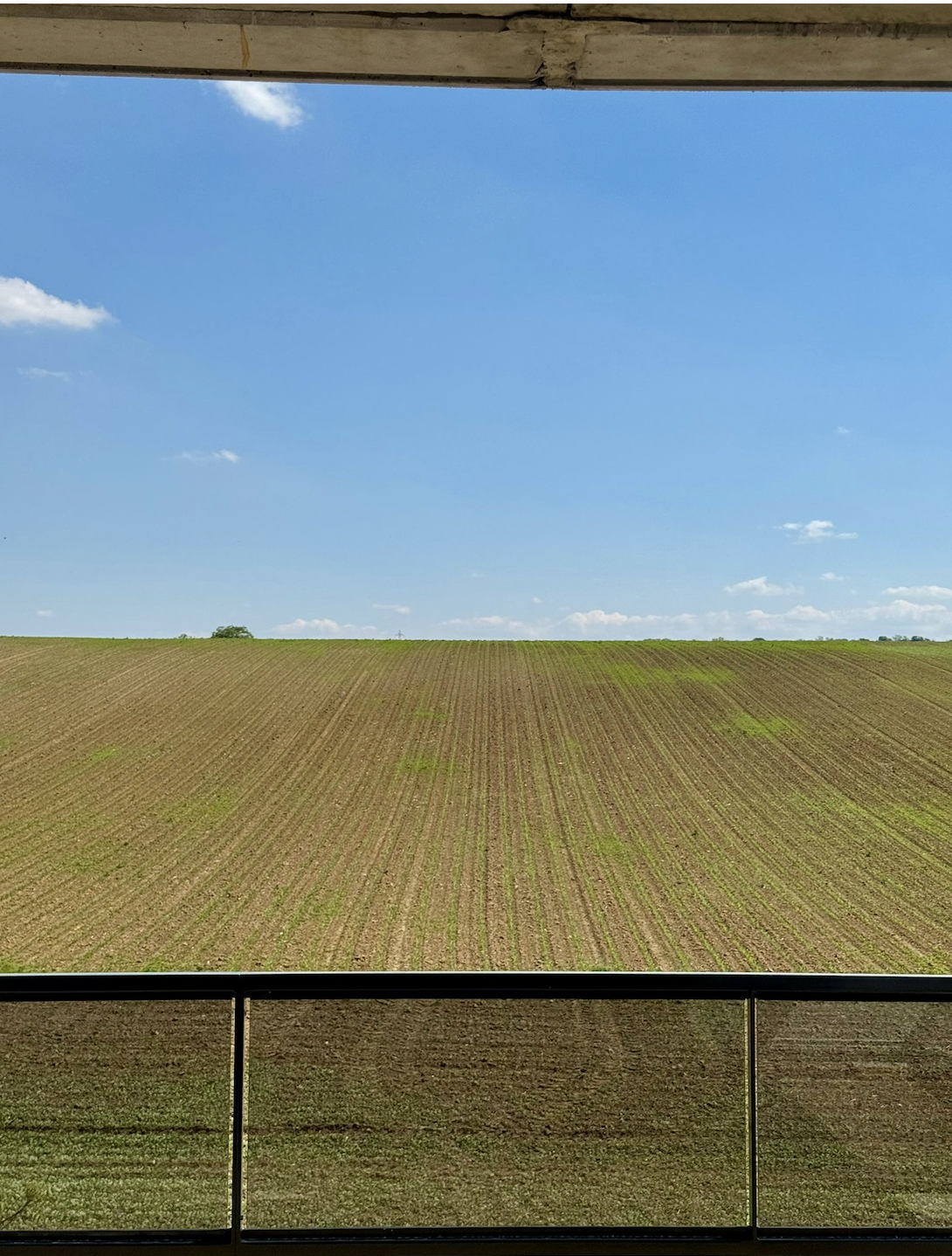 ATTIQUE LANDSER - Image 3