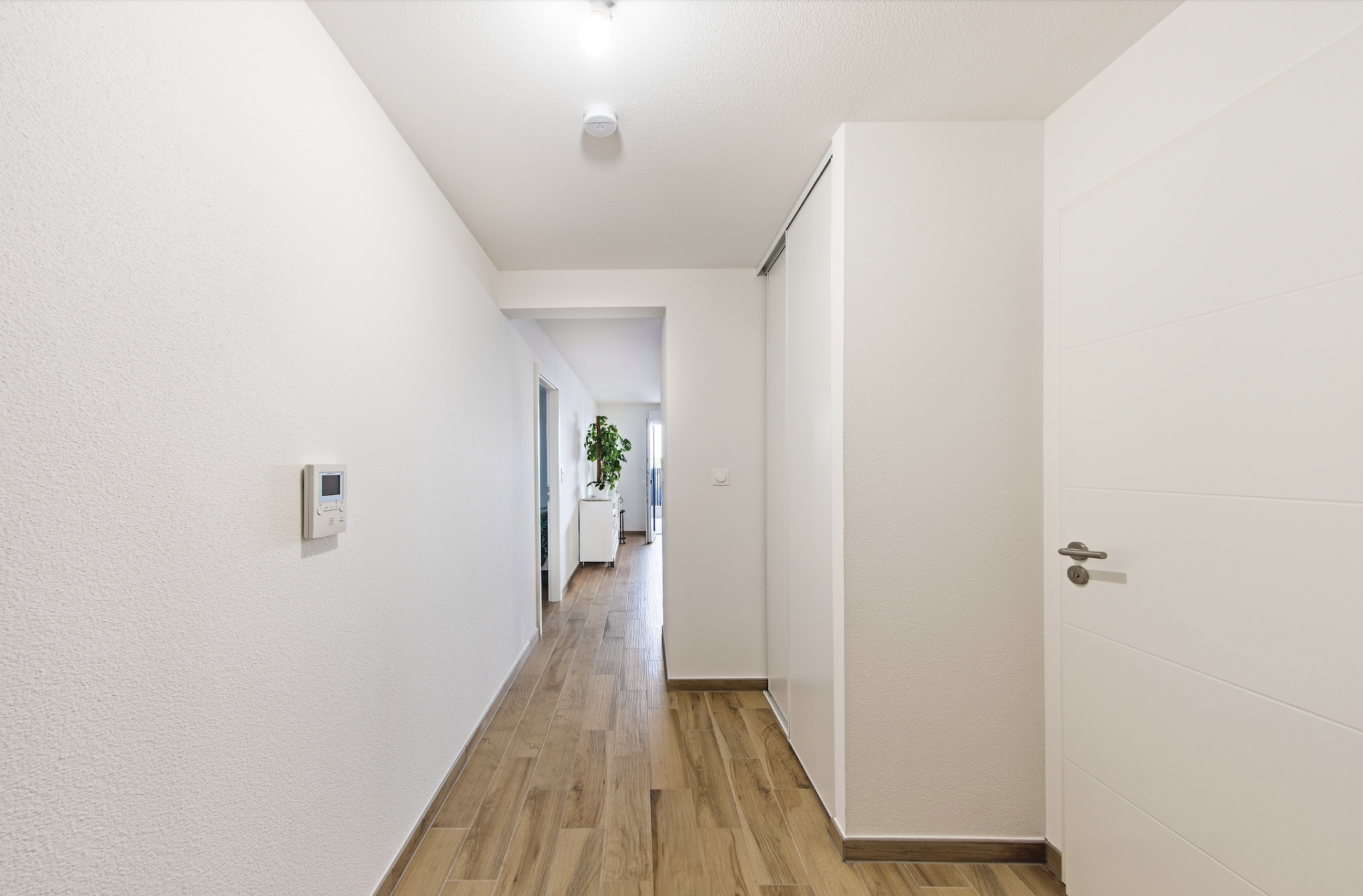 Appartement  T2 avec grande terrasse SAINT LOUIS - Image 6