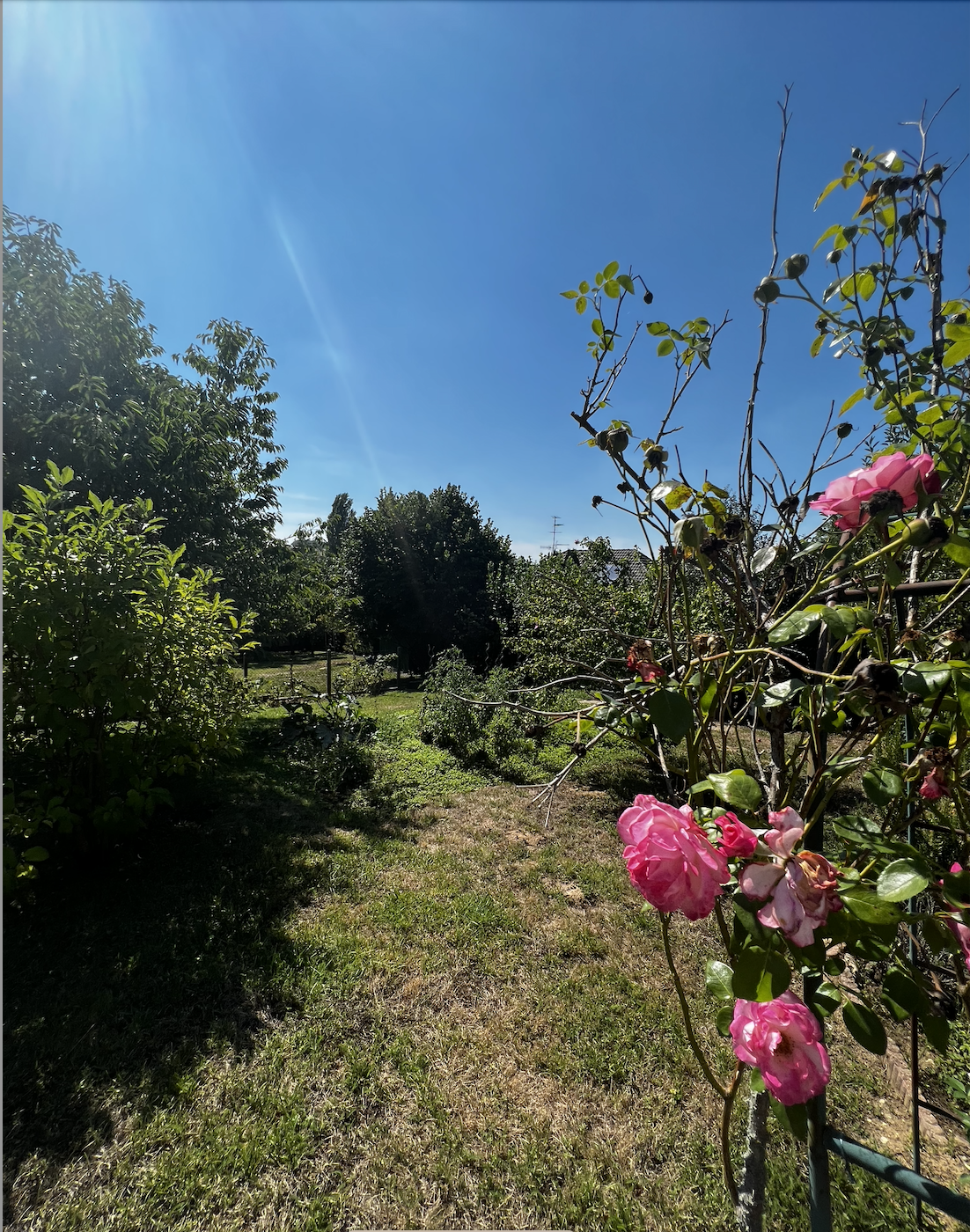 Maison individuelle Tagsdorf - Image 10