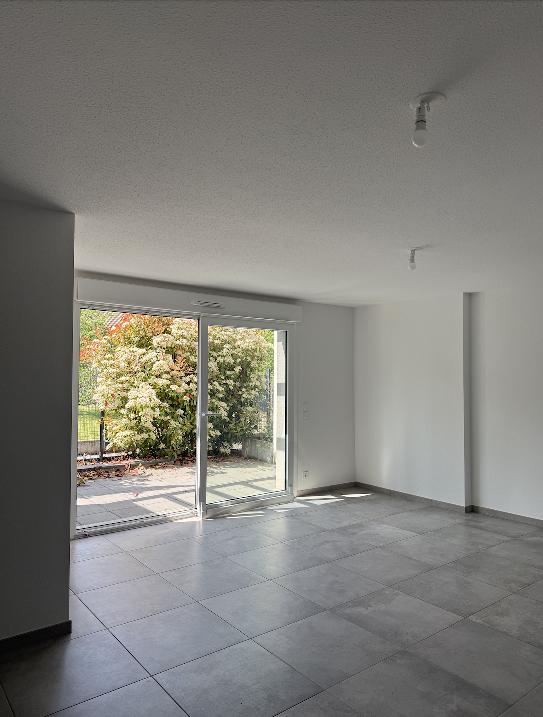APPARTEMENT T3 RIEDISHEIM AVEC TERRASSE - Image 3