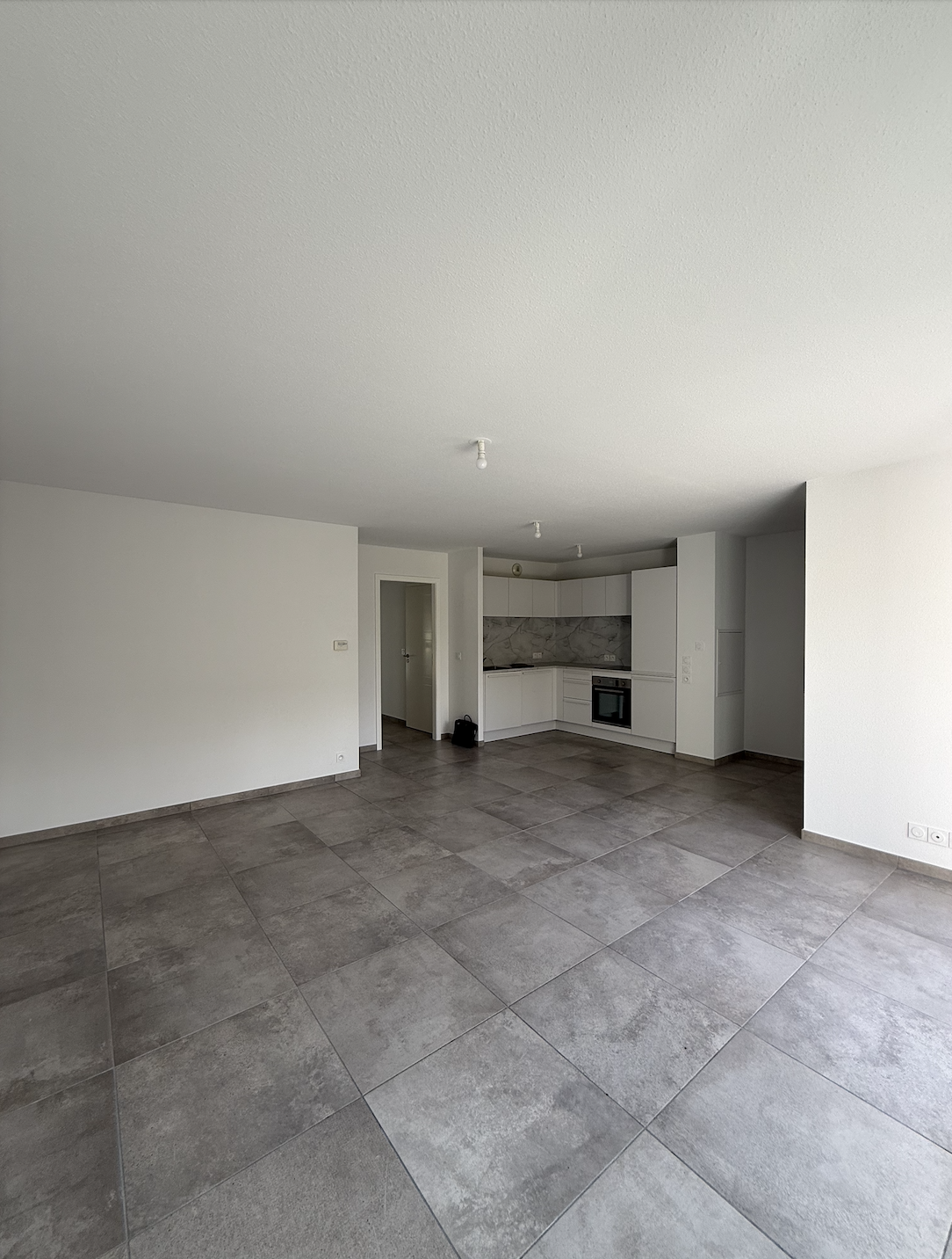 APPARTEMENT T3 RIEDISHEIM AVEC TERRASSE - Image 4
