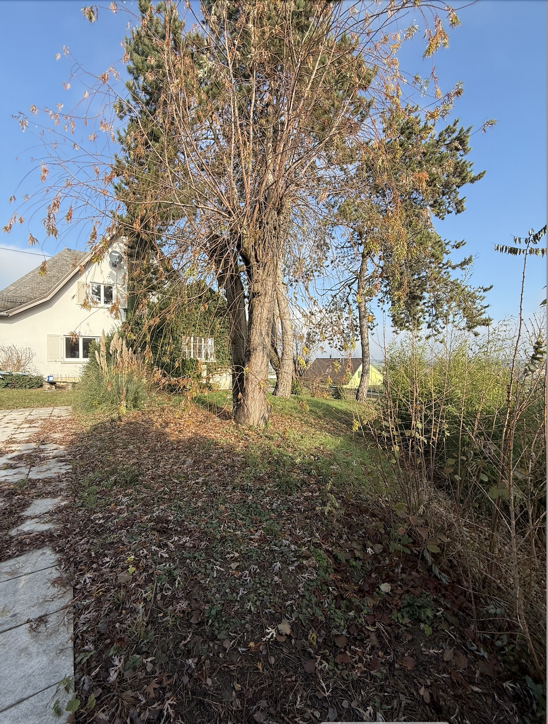 Propriété dans les hauteurs de SCHLIERBACH - Image 13