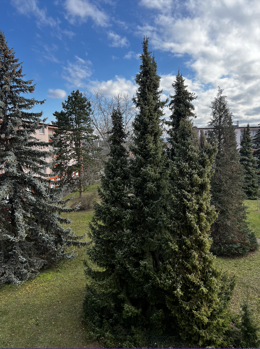 Appartement T4/5 RIXHEIM - Image 9