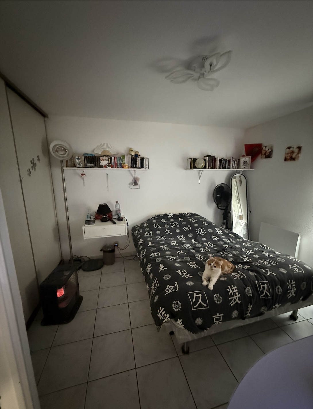 IMMEUBLE READERSHEIM - Image 10