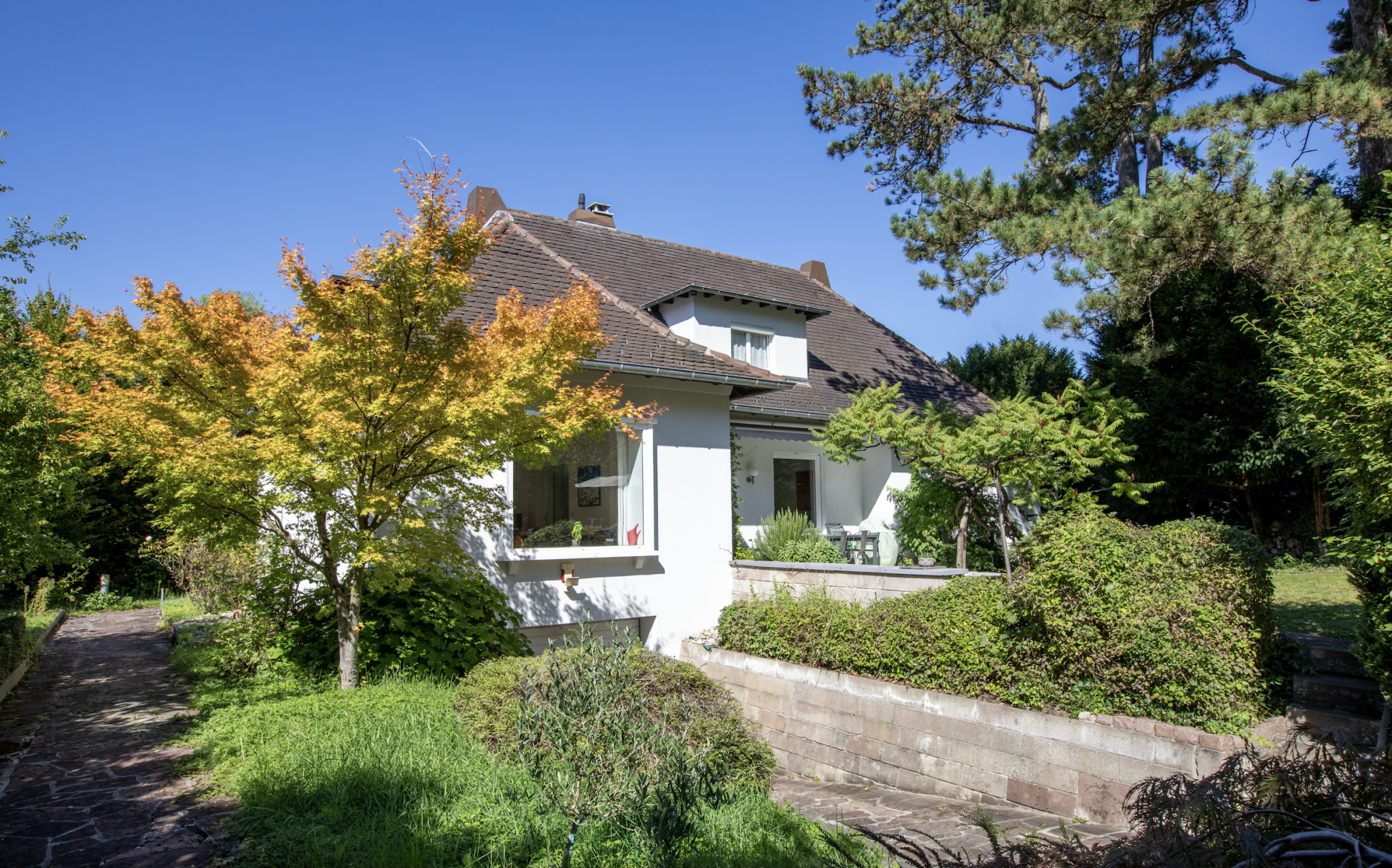 Propriété Rebberg Mulhouse - Image 2