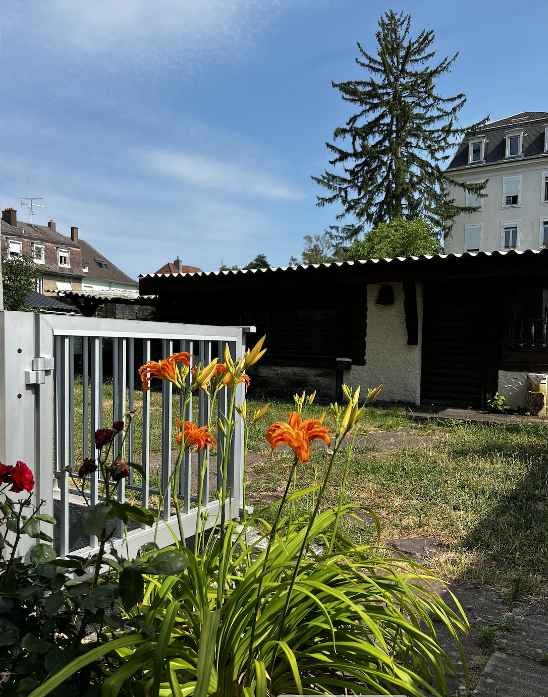 Appartement T3 dans bel immeuble haussmannien - Image 9